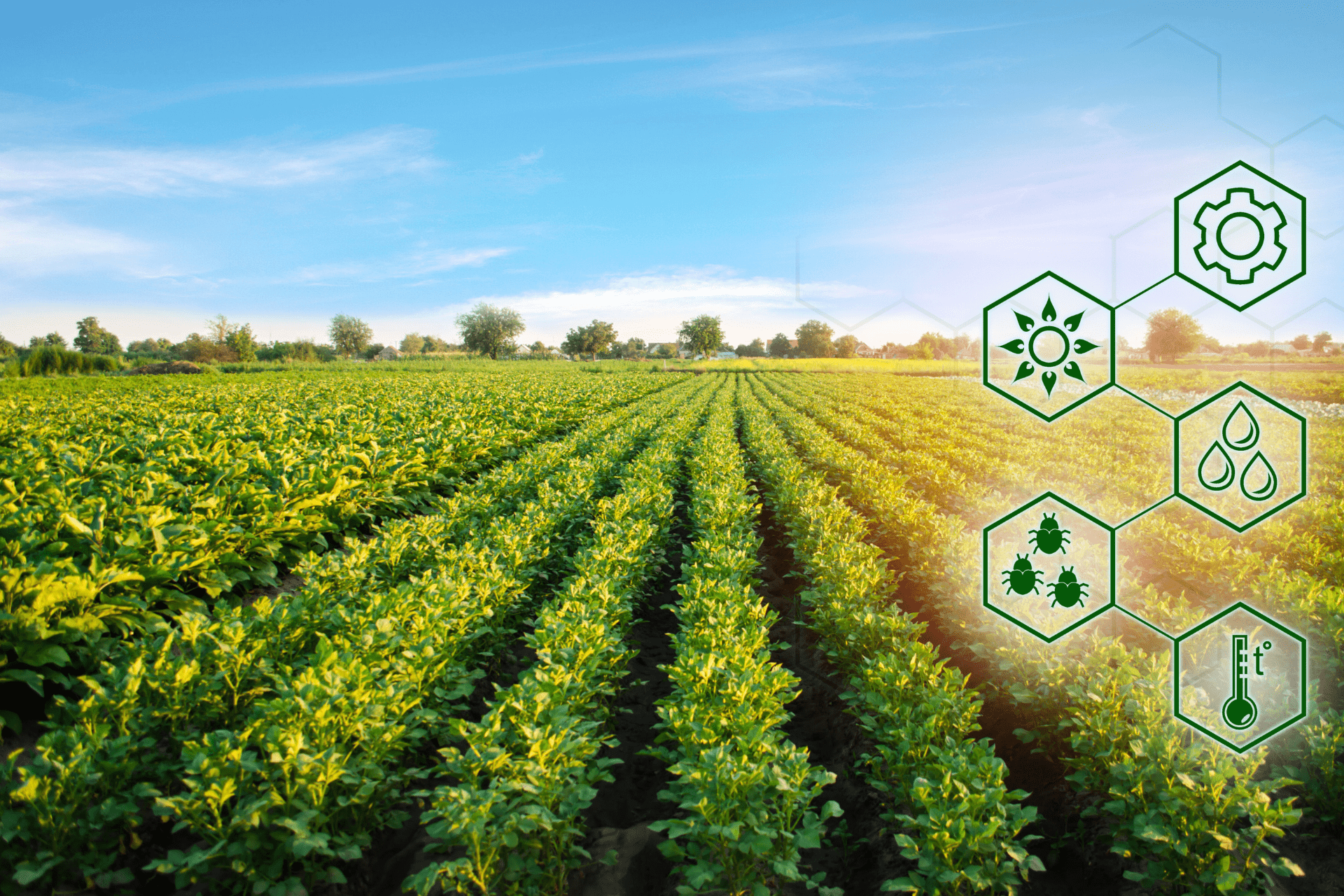 5 Benefits of Smart Agri Innovation 5 Benefits of Smart Agri Innovation