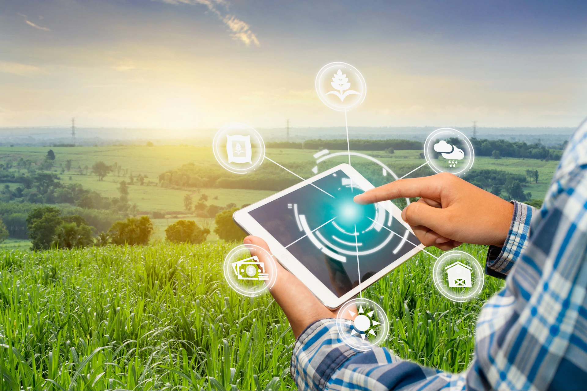 Agriculture Innovation Agriculture Innovation