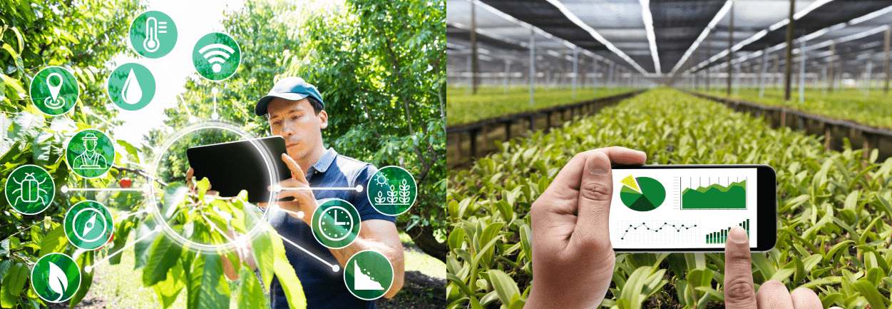 Greener Data Greener Data